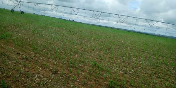 3e184efc-884e-45a7-90b7-08b2a835f7ae